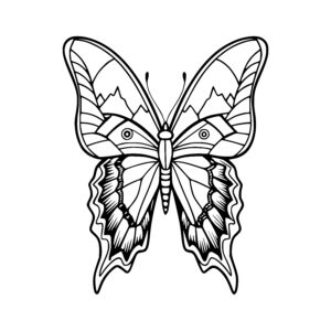 Mountain Patterned Butterfly