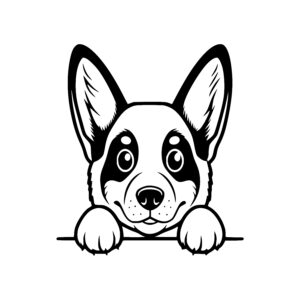 Cheerful Corgi Leaning