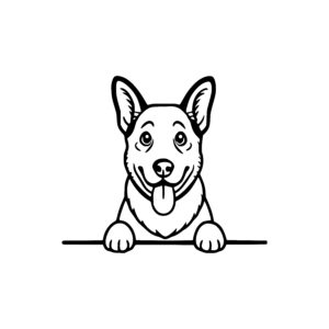 Cheerful Corgi Grinning