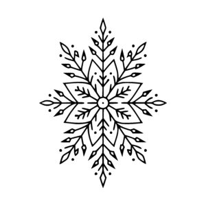 Floral Star Snowflake
