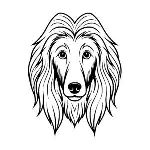 Gentle Dogs Gaze