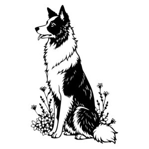 Gentle Collie Companion
