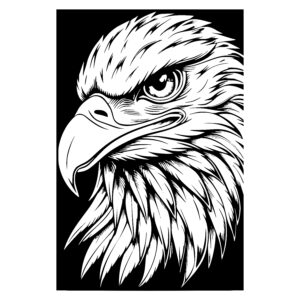 Eagles Fierce Gaze