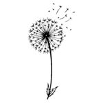 Dandelion Breeze