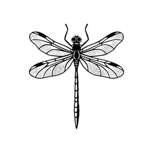 Detailed Dragonfly Design