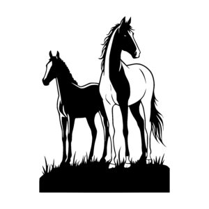 Foal and Stallion Stance