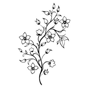 Curved Flowering Branch