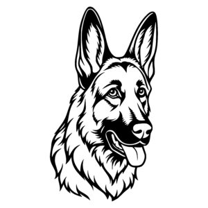 Friendly German Shepherd