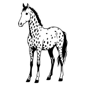 Spotted Equine Elegance