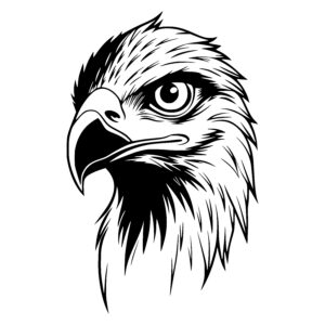 Fierce Eagle Portrait