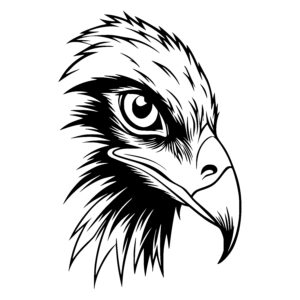 Keen Eagle Gaze