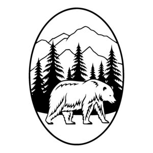 Bear in Mountain Habitat