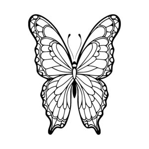 Lace Wing Butterfly
