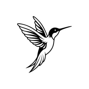Hovering Hummingbird