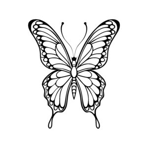 Detailed Butterfly Wings