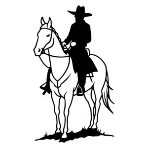 Mystery Rider on Horse