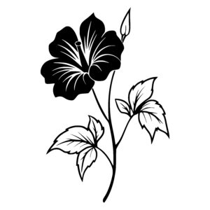 Hibiscus in Bloom