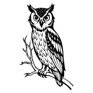 Watchful Owl Stare