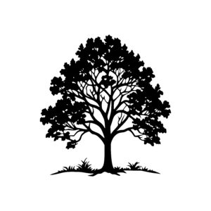 Grand Canopy Tree
