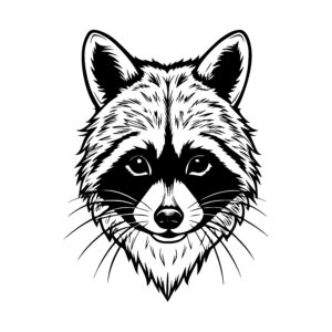 Curious Raccoon Head