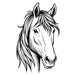 Majestic Horse Profile