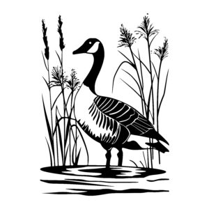 Goose by the Water