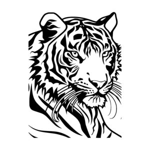 Alert Tiger Stare