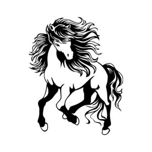 Dynamic Equine Motion