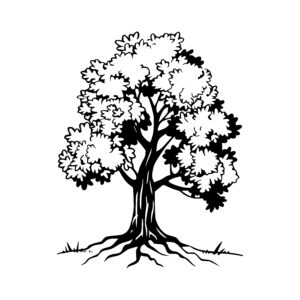 Sturdy Canopy Tree