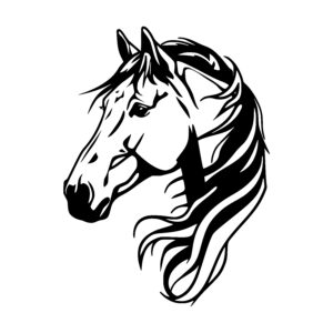 Focused Horse Profile
