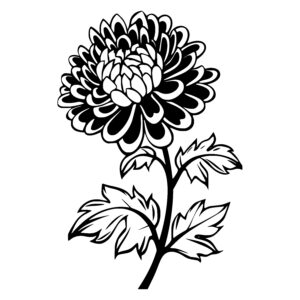 Intricate Flower Blossom
