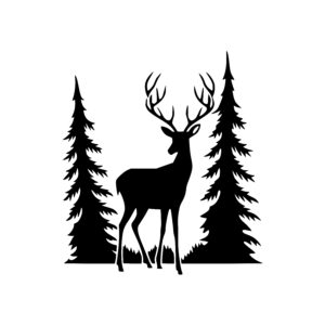 Deer Among Evergreens