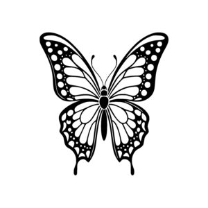 Detailed Butterfly Wings