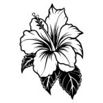 Hibiscus Majesty