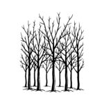 Silent Winter Grove