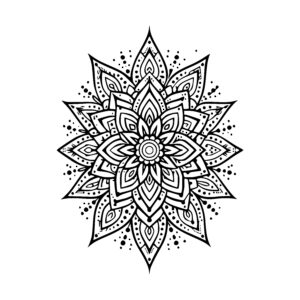 Radiant Petal Star