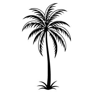 Graceful Palm