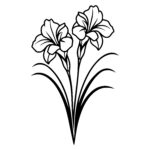 Iris Petal Duo