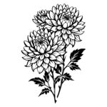 Chrysanthemum Trio