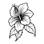 Hibiscus Elegance