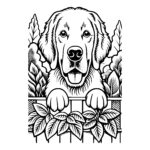 Curious Golden Retriever