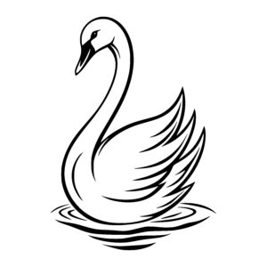 Calm Waters Swan