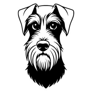 Friendly Dog Face