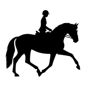 Dynamic Horse and Rider
