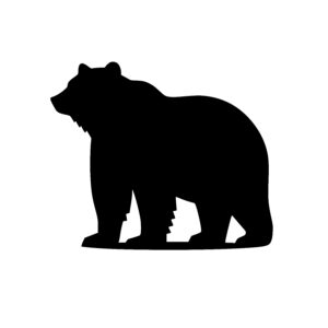 Strong Bear Stance