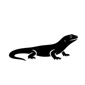 Curved Tail Lizard