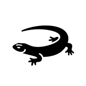 Graceful Lizard Pose