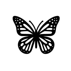 Dotted Wing Butterfly
