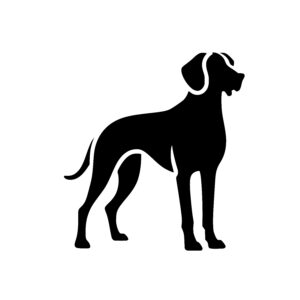 Elegant Great Dane Silhouette