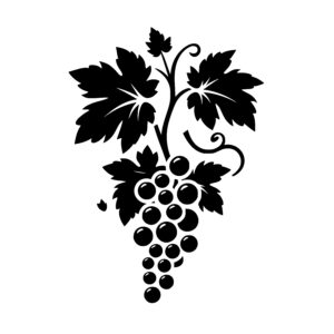Growing Grape Bunch